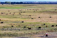 400 Acres, more or less - Tract #3 Antelope County, Nebraska