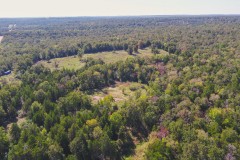 30 Acres in Milam County