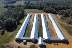 4 house Breeder Hen Poultry Farm with New Home. Located in Luverne Al.ew Property