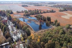 438+/- Acres of Waterfowl Hunting & Recreational Land in New Madrid County, MO