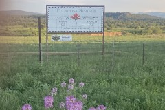 Tularosa Springs Farm & Ranch - Aragon, NM
