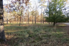Hochatown Lot In Middle of Hochatown Resort Area McCurtain County, OK  0.06 AC