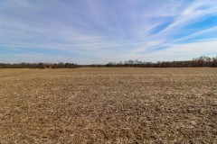 Hayes Rd - 12 acres - Licking County