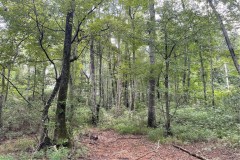 1 acre lot in chambers county