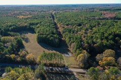 33.5 Acre Wildlife and TImber