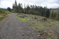 Forestland, Private, Gated  Home Site  - Scappoose, Oregon