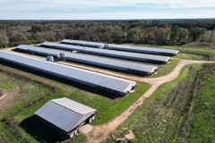 7-House Poultry Broiler Farm 80 Ac & Residence in SW MS