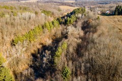 Vernon County, Wisconsin 15 Acres For Sale(SALE PENDING)