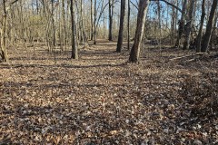 21 Acres in Leflore County, MS
