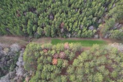 Hunting Land for Sale in Amite County