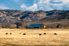 Pitchfork Cattle Company Ranch