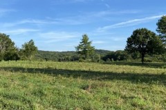 194 Acre Hunting/Recreational Property with Custom Built Home