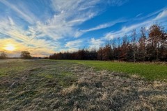 383 Acres in Carroll County in Greenwood, MS