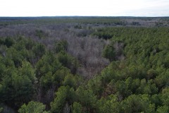 90+/- Acres in Choctaw County, MS