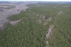 100 acres of Hunting / Recreational and Timber Land For Sale in Surry County VA!
