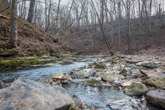 24.4 Acre Tract with Tillable and Rock Bottom Creek for Sale Ã¢ÂÂ Monroe County