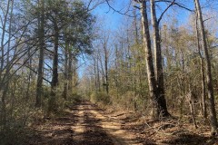 Secluded 26 acres- Hunting- Power & Water