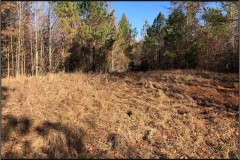 46 Acres in Carroll County in West, MS