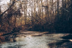 815 Acres in Sontag in Lawrence County, MS