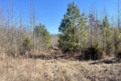 88 Acres in Choctaw County in Ackerman, MS