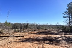 60.44 Acres in Webster County, MS