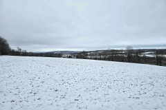 68 acres Tillable Farmland with Woods and Trout Stream in Summerhill NY Lake Como Road