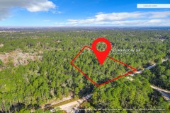 5-Acre Wooded lot in Georgetown, FL