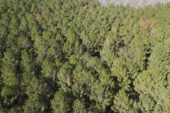 85 Acres in Copiah County in Wesson, MS