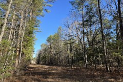 11.8 Acres in Choctaw County, MS