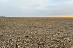 154.505 +/- Acre Pivot-Irrigated Farm in Phelps County, NE