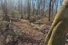 5.00+/-acres Beautiful unrestricted wooded property with a creek