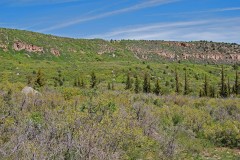 Uncompahgre Hunting Ranch