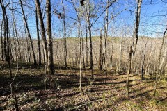 195 Acres Adjoining Bankhead National Forest