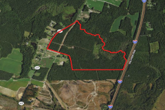 UNDER CONTRACT!!  145 Acres of Timberland For Sale in Greensville County VA!