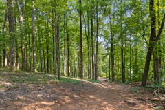 Invest or Develop: 18 Acres Near Chattanooga