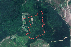 29.88 acres of Hunting / Recreational and Timber Land For Sale in Surry County VA!