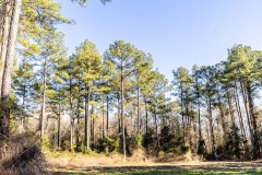 483 of Great Hunting and Timber Investment in Macon County, AL