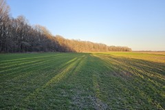 160 Acres with Two Homes in Sunflower County, MS - Serene Fox Farms