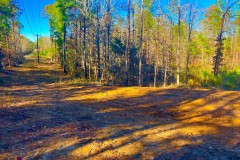 2.470 acres near Wesson Mississippi