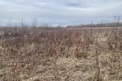 Rock Island County IL 72.33 acre WRP hunting on Rock River