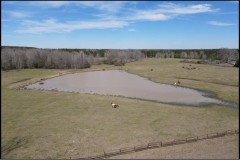 45 Acres in Lincoln County in Brookhaven, MS