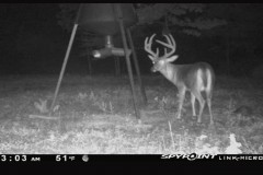 66.5 acres of Hunting ground in Hickman county