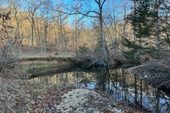 240 acre sanctuary not far from Lake of the Ozarks!