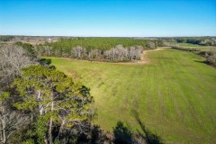 Land for sale in Jefferson Davis County