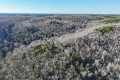 Secluded Paradise: Recreational Land with Timber Views & Wildlife Haven near Wayneboro, TN