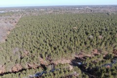 240 acre timber and hunting property for sale in Central Wisconsin