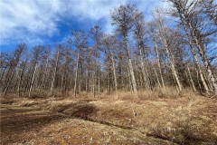 Lot  #23 42 Degrees North Ellicottville NY 14731