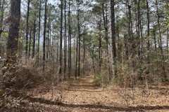 91 Acres in Amite County, MS