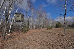 Prime Hunting Land for sale in Bayfield County, Wisconsin
