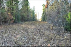 13.8 Acres in Copiah County in Wesson, MS